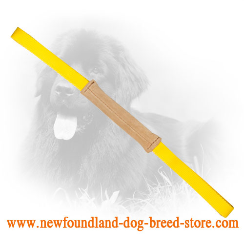 Soft Small in Size Leather Newfoundland Bite Tug