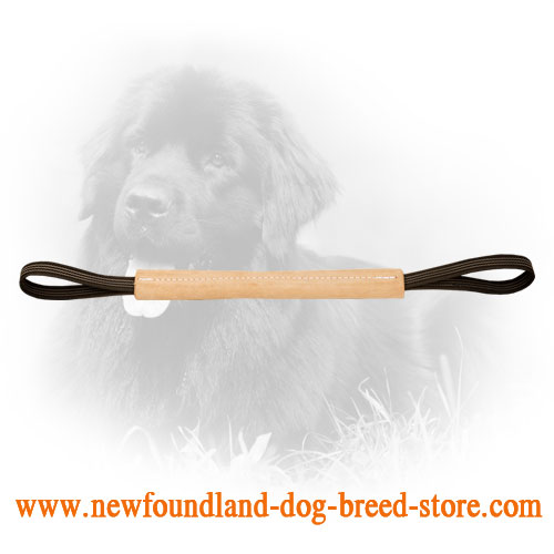 Hard Leather Newfoundland Bite Tug for Bite Training