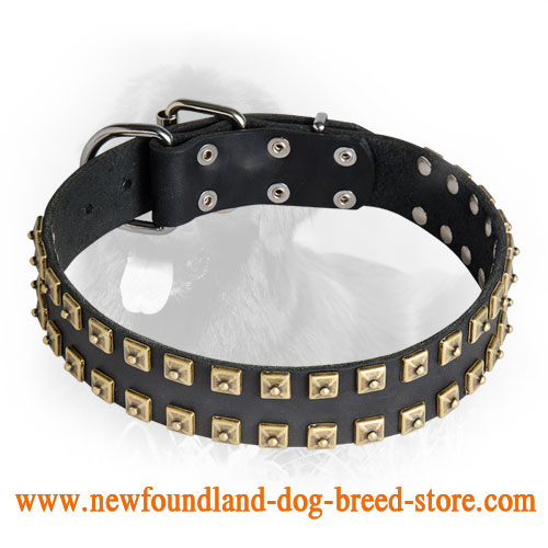 Leather Newfoundland Collar with 2 Rows of Caterpillar Studs