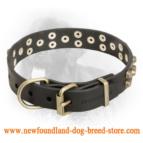 "Starry" Leather Newfoundland Collar with Studs