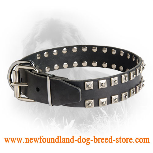 Exclusive "Caterpillar" Leather Newfoundland Collar with Nickel Studs
