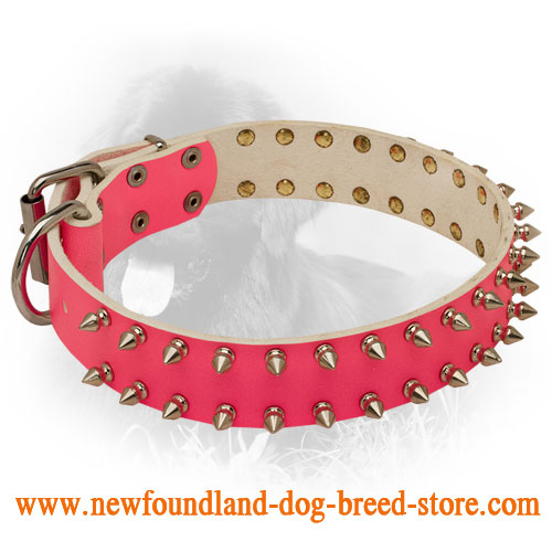 spiked dog leash