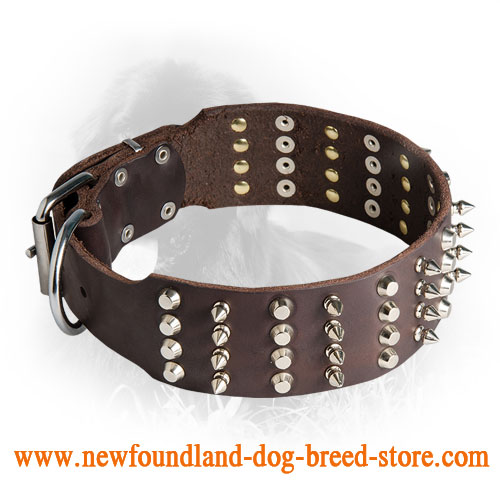 Leather Newfoundland Collar with 4 Rows of Spikes and Studs Newfoundland harness Newfoundland dog muzzle Newfoundland dog collar Dog leash 2024 BUY NOW