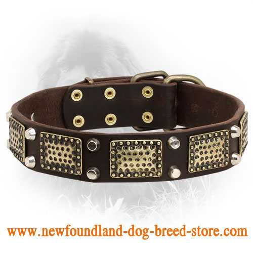 Vintage Leather Newfoundland Collar with Nickel Pyramids and Brass Plates