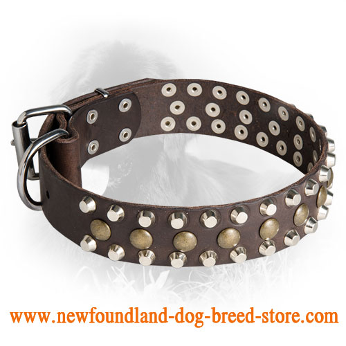 Leather Newfoundland Collar with Pyramids and Half-Ball Studs