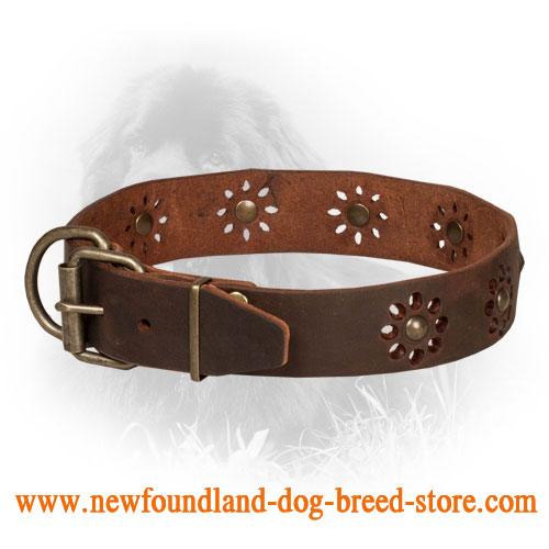 Leather Newfoundland Collar with Attractive Flower Design