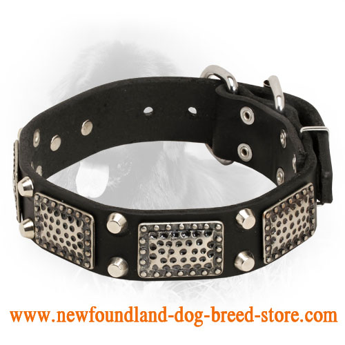 Leather Newfoundland Collar with Vintage Plates and Studs