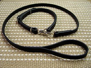 Police Leather Newfoundland Leash and Collar Combo