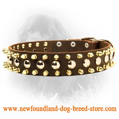 Newfoundland Spiked and Studded 40 mm Leather Collar