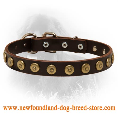 Newfoundland Leather Collar Brass Dotted Circles