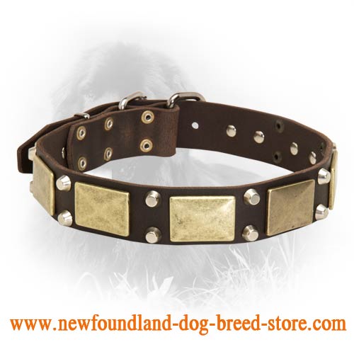 Newfoundland Decorated Leather Collar