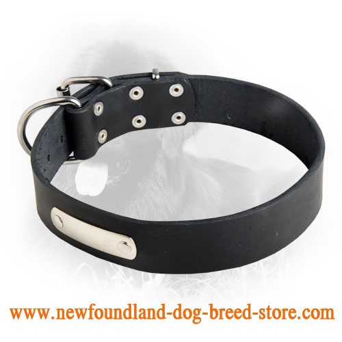 Newfoundland Leather Collar Identification Tag
