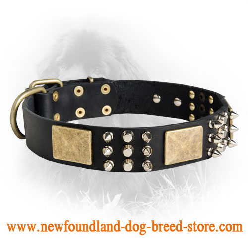 Newfoundland Spiked Leather Collar with Plates and Cones