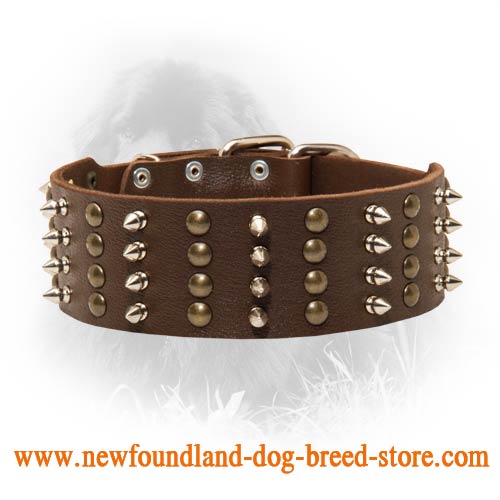 Wide Spiked and Studded Newfoundland Leather Collar