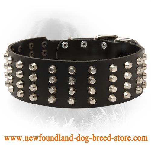 Newfoundland Studded Leather Collar 50 mm