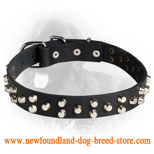 Fancy Design Leather Collar with Nickel Pyramids