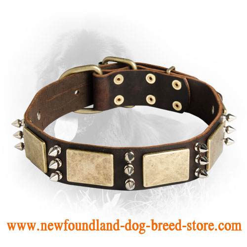 Newfoundland Spiked Leather Collar with Plates - Click Image to Close