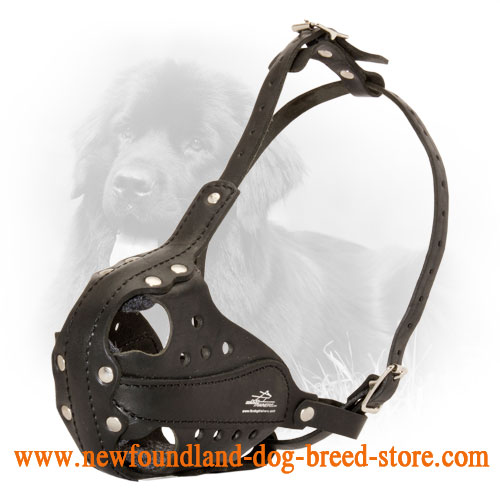 Comfortable Leather Newfoundland Muzzle for Service Dogs