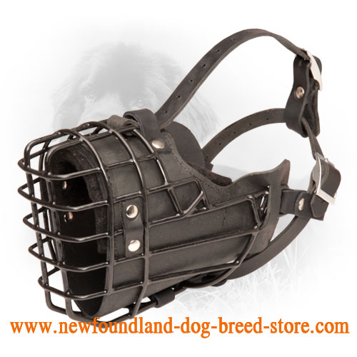 Unique Design Wire Dog Muzzle for Winter Activities