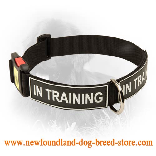 Practical Nylon Newfoundland Collar with ID Patches