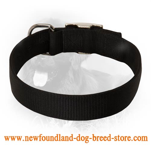 Newfoundland 2 Ply Nylon Collar