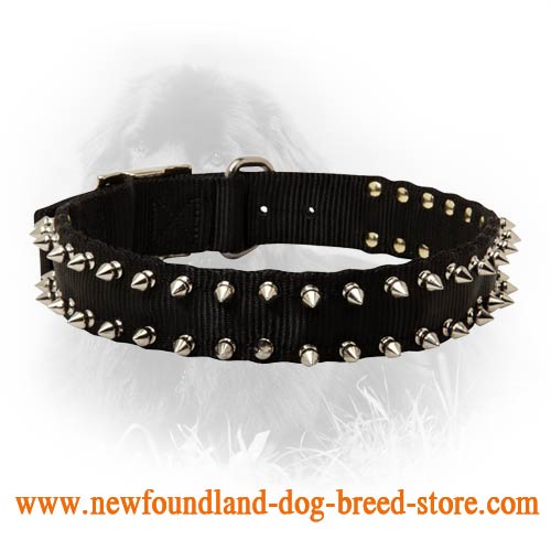 Newfoundland Nylon Collar Spiked