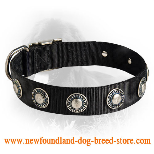 Newfoundland Nylon Collar Nickel Conchos