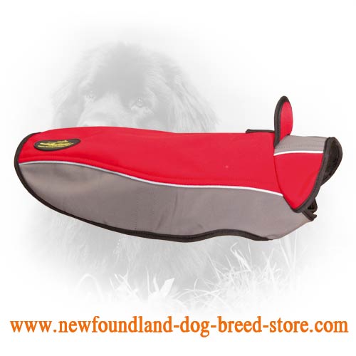 Warm Newfoundland Coat for Cold Weather Walks