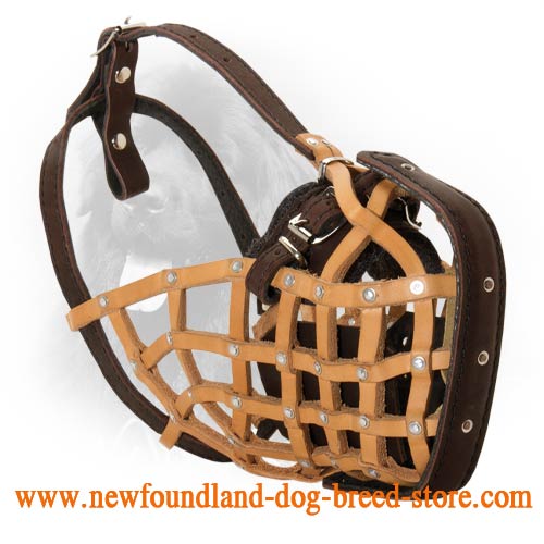 Durable Leather Newfoundland Muzzle for Police Work