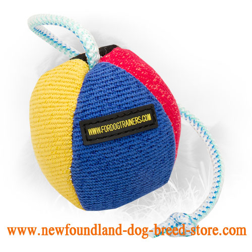Small Newfoundland French Linen Toy for Basic Puppy Training