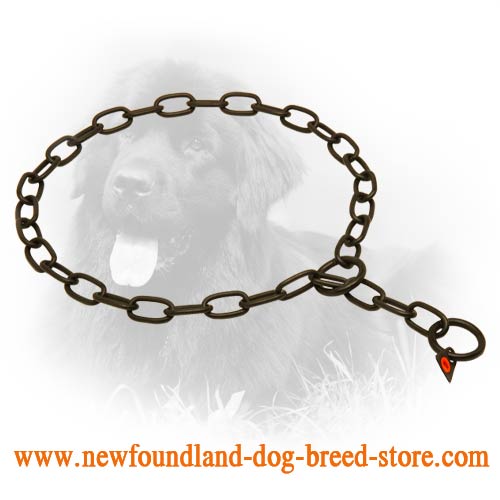Black Stainless Steel Newfoundland Fur Saver with Small Links