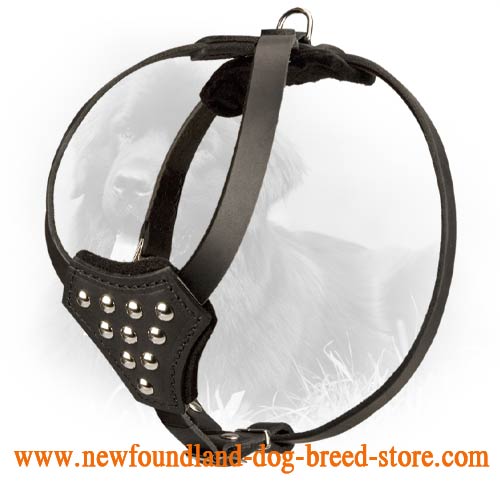 Studded Design Leather Newfoundland Harness for Puppies
