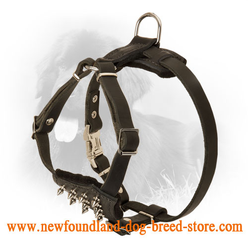Puppy Size Leather Newfoundland Harness with Spikes