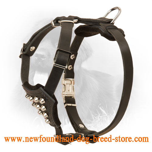Small Leather Newfoundland Harness with Pyramids