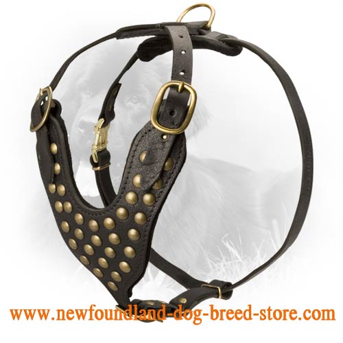 Studded Design Leather Newfoundland Harness for Walking