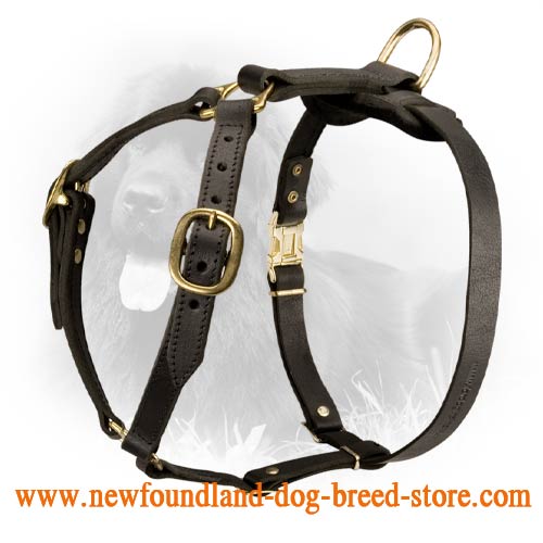 Leather Newfoundland Harness for Working Dogs