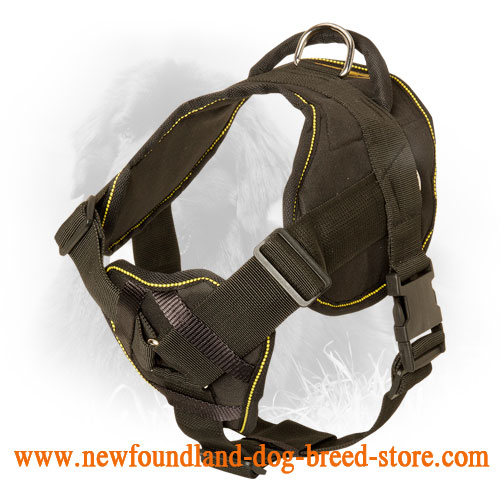 Multipurpose Nylon Newfoundland Harness for Everyday Use
