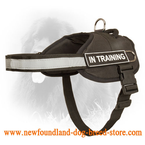 Professional Nylon Newfoundland Harness for Different Activities - Click Image to Close
