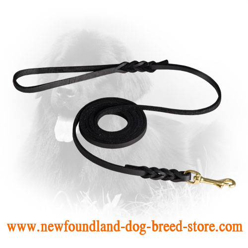 Handcrafted Leather Newfoundland Leash with Elegant Braids
