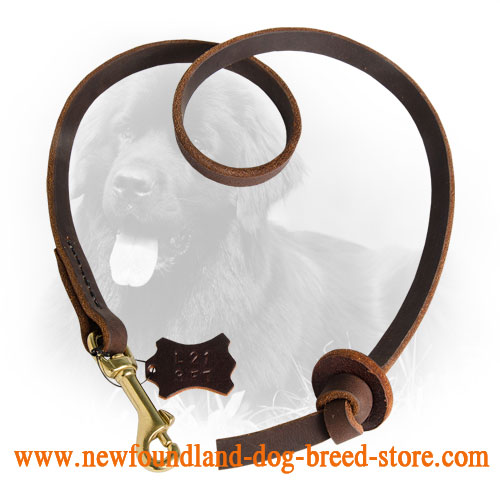 Short Pull Tab Leather Newfoundland Leash for Obedience Training