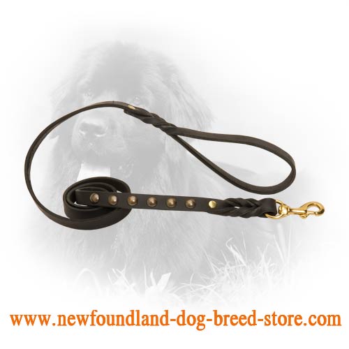 Leather Newfoundland Leash with Brass Studs