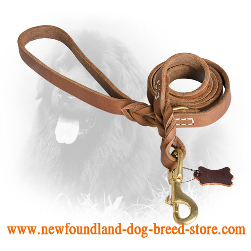 Elegant Design Professional Leather Newfoundland Leash