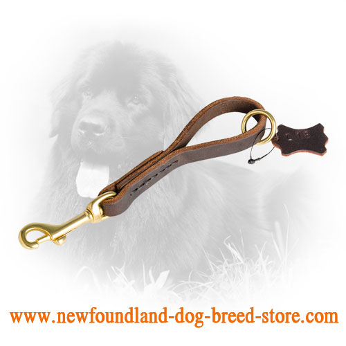 Easy Fast Grab Pull Tab Leather Newfoundland Leash
