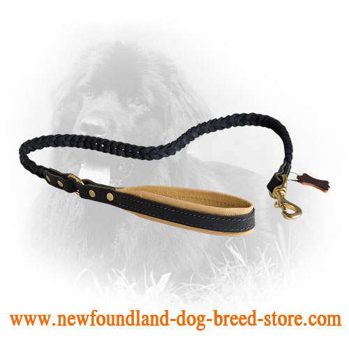 Stitched Leather Newfoundland Leash with Comfortable Handle
