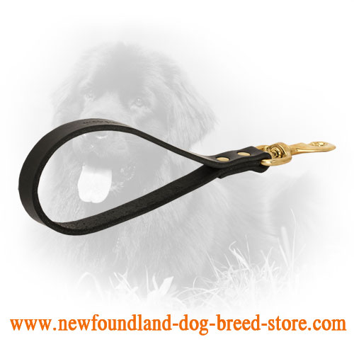Short Pull Tab Leather Newfoundland Leash with Brass Snap Hook