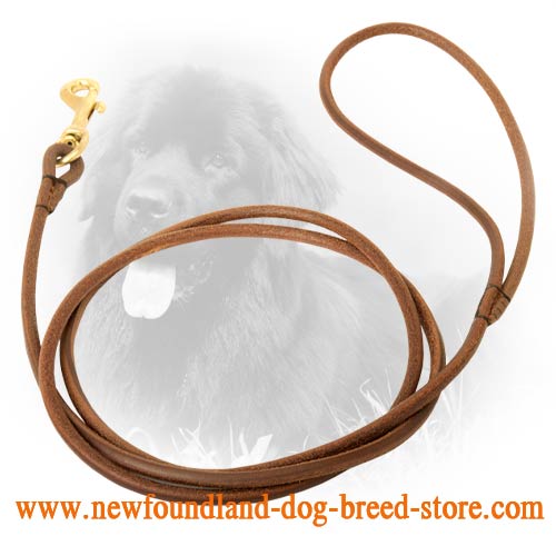 Round Leather Newfoundland Leash for Dog Shows