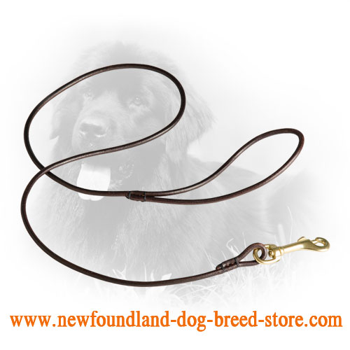 Elegant Round Leather Newfoundland Leash for Dog Shows