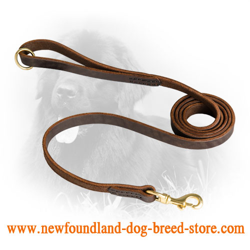 Newfoundland Leather Leash Stitched