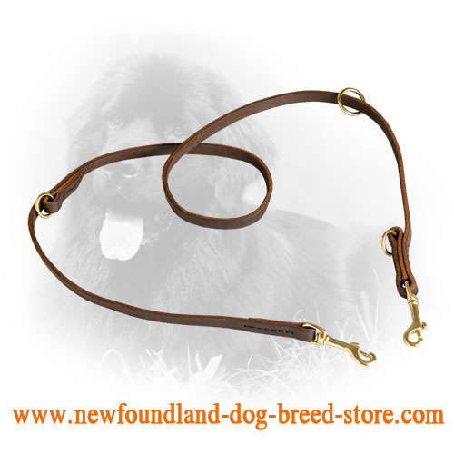 20 mm Multifunctional Leather Newfoundland Leash