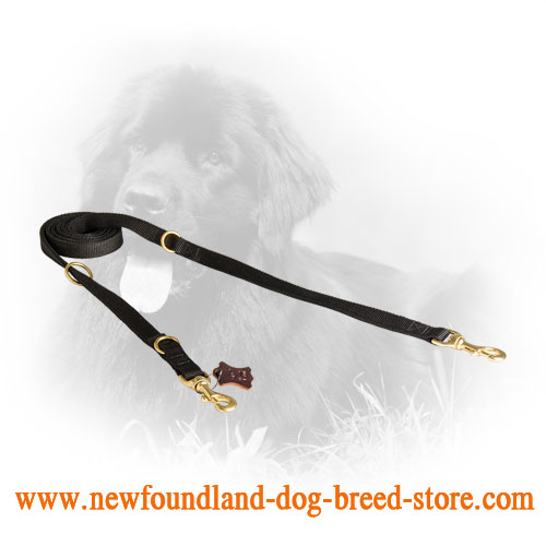 Universal in Use Any Weather Nylon Newfoundland Leash